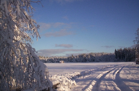 Myrskyn jälkeen